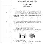 浙江省强基联盟2024-2025学年高二上学期11月联考生物试题