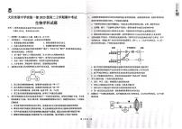 黑龙江省大庆市实验中学实验二部2024-2025学年高二上学期期中考试生物试卷