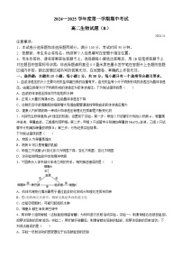 山东省菏泽市2024-2025学年高三上学期期中考试生物试题（B卷）