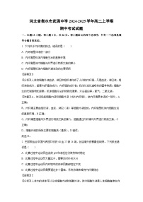 2024-2025学年河北省衡水市武强中学高二(上)期中生物试卷(解析版)