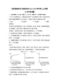 2024-2025学年江苏省南京市六校联合体高二(上)10月月考生物试卷(解析版)