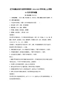 2024-2025学年辽宁省重点高中沈阳市郊联体 高二(上)10月月考学生物试卷(解析版)