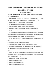 2024-2025学年云南省大理白族自治州下关一中教育集团高二(上)10月月考生物试卷(解析版)