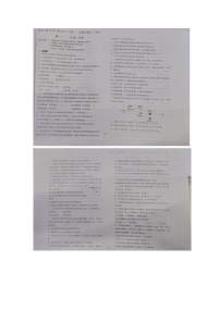 辽宁省铁岭市西丰县第二高级中学2024-2025学年高二上学期11月期中生物试题