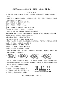 天津市河西区2024-2025学年高一上学期11月期中考试生物试题（Word版附答案）