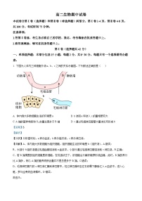 江苏省扬州市江都区2024-2025学年高二上学期11月期中考试生物试题（Word版附解析）