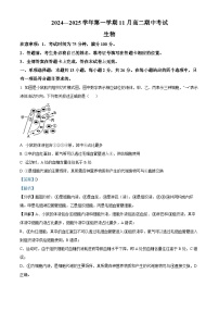 河北省张家口市2024-2025学年高二上学期期中考试生物试题（Word版附解析）