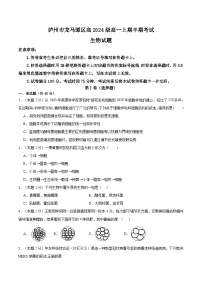 四川省泸州市龙马潭区2024-2025学年高一上学期11月期中生物试题