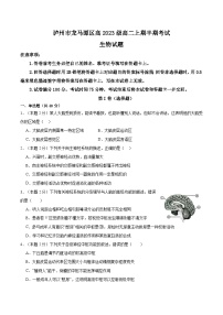 四川省泸州市龙马潭区2024-2025学年高二上学期11月期中生物试题