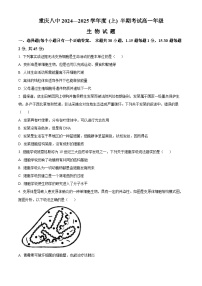 重庆市第八中学2024-2025学年高一上学期期中考试生物试题