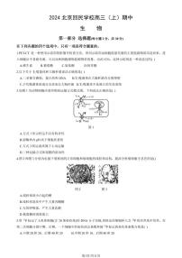 2024北京回民学校高三（上）期中生物试卷（教师版）