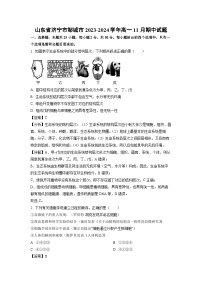 2023-2024学年山东省济宁市邹城市高一(上)11月期中生物试卷（解析版）