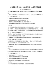 2023-2024学年山东省德州市高一(上)期中生物试卷（解析版）