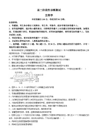 河南省豫东名校2024-2025学年高二上学期期中阶段性诊断测试生物试题