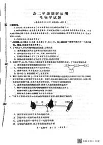 河南湿封市2023_2024学年高二生物上学期期中试题pdf