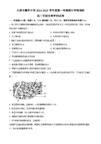 精品解析：天津市和平区天津市耀华中学2024-2025学年高二上学期11月期中生物试题