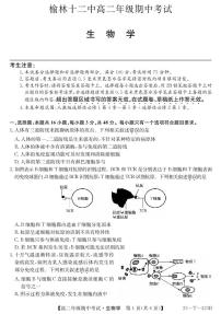 陕西省榆林市榆阳区榆林市镇川中学2024-2025学年高二上学期11月期中生物试题