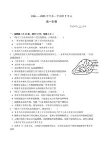 2024～2025学年福建省厦门市湖滨中学高一(上)期中生物试卷(含答案)