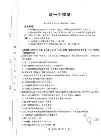 广东省名校联盟2024-2025学年高一上学期期中联考生物试题