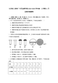 江西省上饶市广丰区金桥学校2024-2025学年高一上学期11月考试生物试题