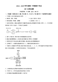 2025镇江三校、泰州部分学校高二上学期11月期中考试生物含解析