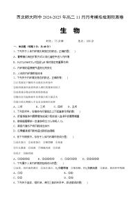 甘肃省兰州市西北师范大学附属中学2024-2025学年高二上学期11月月考生物试题