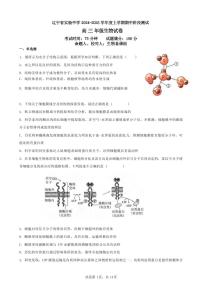 生物丨辽宁省实验中学2025届高三上学期11月期中阶段测试生物试卷及答案