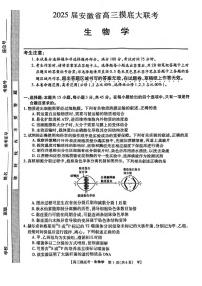 生物丨皖江名校联盟安徽省2025届高三上学期11月摸底大联考生物试卷及答案