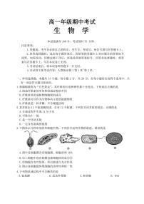 2024～2025学年河北省唐山市部分学校高一(上)期中联考生物试卷(含答案)