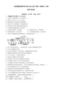 福建省福州市山海联盟教学协作体2024-2025学年高一上学期11月期中生物试题（含答案）