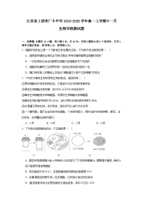 江西省上饶市广丰中学2024-2025学年高一上学期11月检测生物学试题