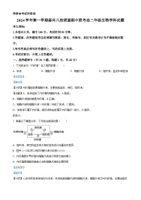 浙江省嘉兴市八校联盟2024-2025学年高二上学期期中联考生物试卷（Word版附解析）