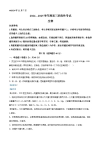 河南省三门峡市2024-2025学年高三上学期11月期中生物试卷（Word版附解析）