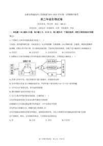 安徽省合肥市六校联盟2024-2025学年高二上学期11月期中考试生物试卷（PDF版附解析）