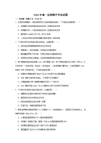 湖南省岳阳市岳阳县第一中学2024-2025学年高二上学期11月期中生物试题