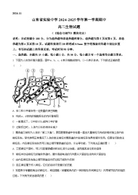 山东省实验中学2024-2025学年高二上学期11月期中考试生物试卷（Word版附解析）