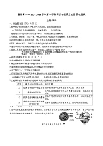 天津市西青区杨柳青第一中学2024-2025学年高三上学期11月期中生物试题