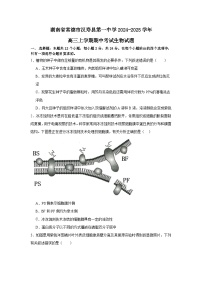 湖南省常德市汉寿县汉寿县第一中学2024-2025学年高三上学期11月期中生物试题