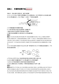 备战2025年高考二轮复习生物（山东版）大单元5遗传的分子基础、变异与进化层级二关键突破提升练（Word版附解析）