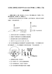 江西省上饶市私立世龙中学2024-2025学年高三上学期11月生物学检测卷