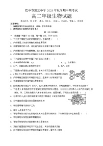 四川省巴中市第三中学2024-2025学年高二上学期11月期中考试生物试题