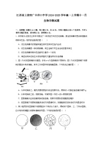 江西省上饶市广丰洋口中学2024-2025学年高一上学期11月生物学测试题