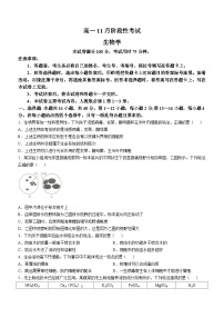 广西名校联盟2024-2025学年高一上学期11月期中阶段性考试生物试题