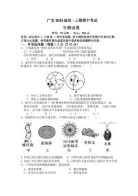 四川省2024～2025学年高一(上)期中生物试卷(含答案)