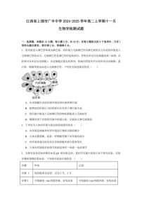 江西省上饶市广丰中学2024～2025学年高二(上)十一月生物检测试卷(含答案)