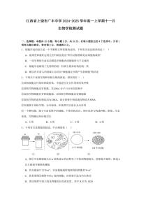 江西省上饶市广丰中学2024～2025学年高一(上)十一月生物检测试卷(含答案)