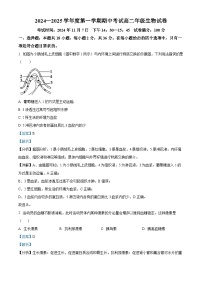 湖北省武汉市2024-2025学年高二上学期11月期中考试生物试卷 含解析