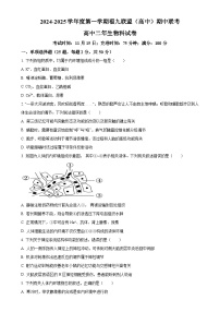 福建省福州市9校2024-2025学年高二上学期11月期中生物试题（原卷版）-A4