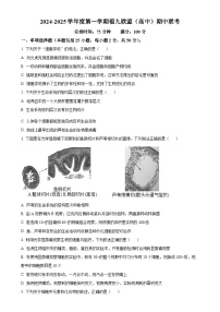 福建省福州市福9联盟校2024-2025学年高一上学期11月期中生物试题（原卷版）-A4