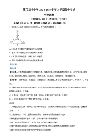 福建省厦门市双十中学2024-2025学年高二上学期期中生物试卷（解析版）-A4